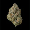 Rainbow_Sherbert_P_Sept_2025_3 Rainbow Sherbet
