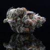images - 2026-10-13T202057.611 Gorilla Glue #4