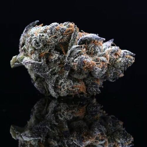 images - 2026-10-13T202057.611 Gorilla Glue #4