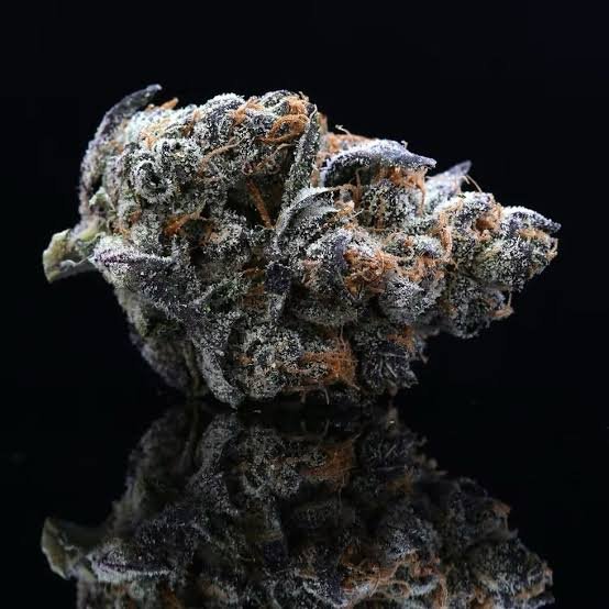 images - 2026-10-13T202057.611 Gorilla Glue #4