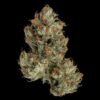 Bubba Kush THC 15%