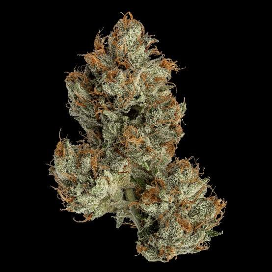 Bubba Kush THC 15%