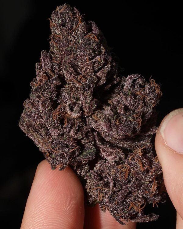 Grand Daddy purple Kush